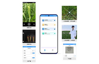 潮州市小麦亩穗数分析仪IN-XM02